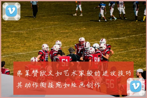 弗莱赞欧文如艺术家般的进攻技巧其动作衔接宛如绘画创作